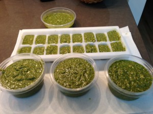 Freezer Pesto
