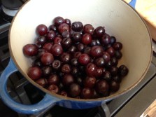 Grapes that are a little soft for eating, but perfect for jam!